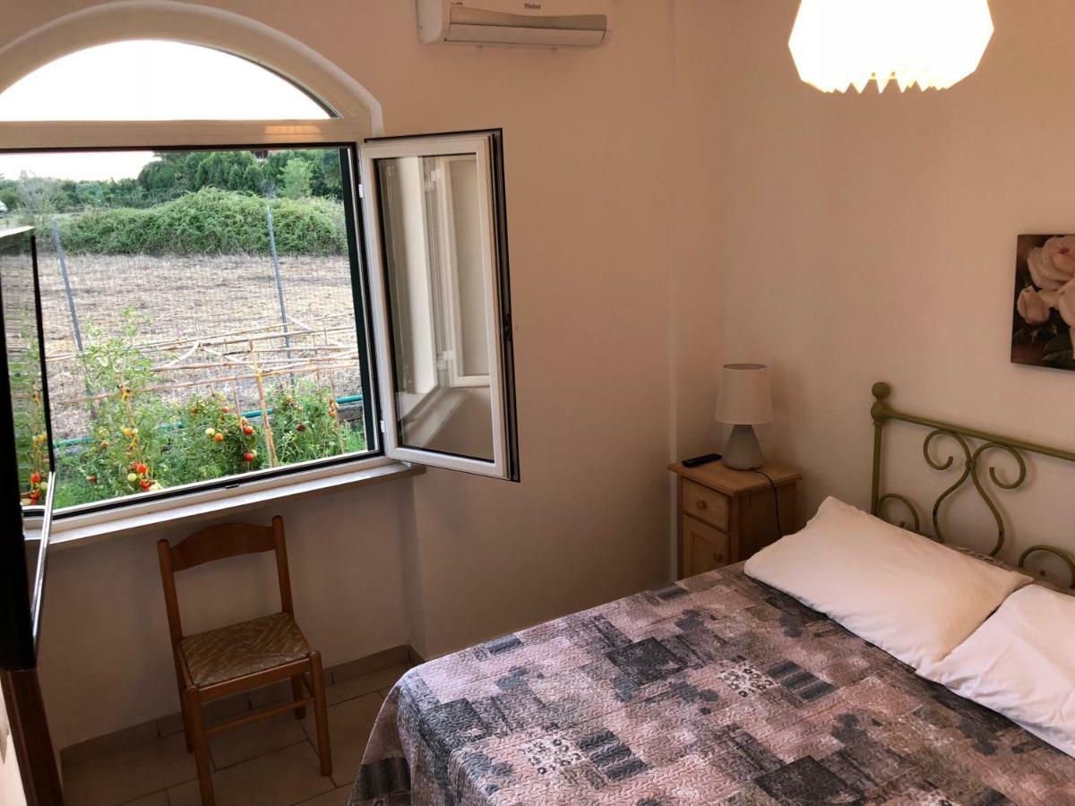 Agriturismo "Lo Zafferano" Aprilia Zewnętrze zdjęcie
